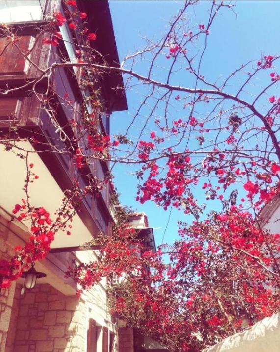 Alayaz Boutique Alaçatı